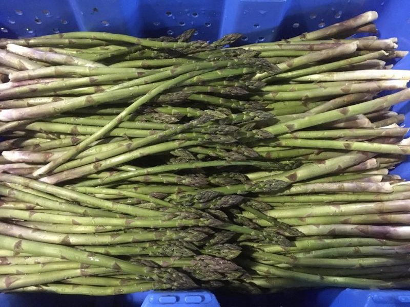 Asparagus and Bloom - Rittman Orchards