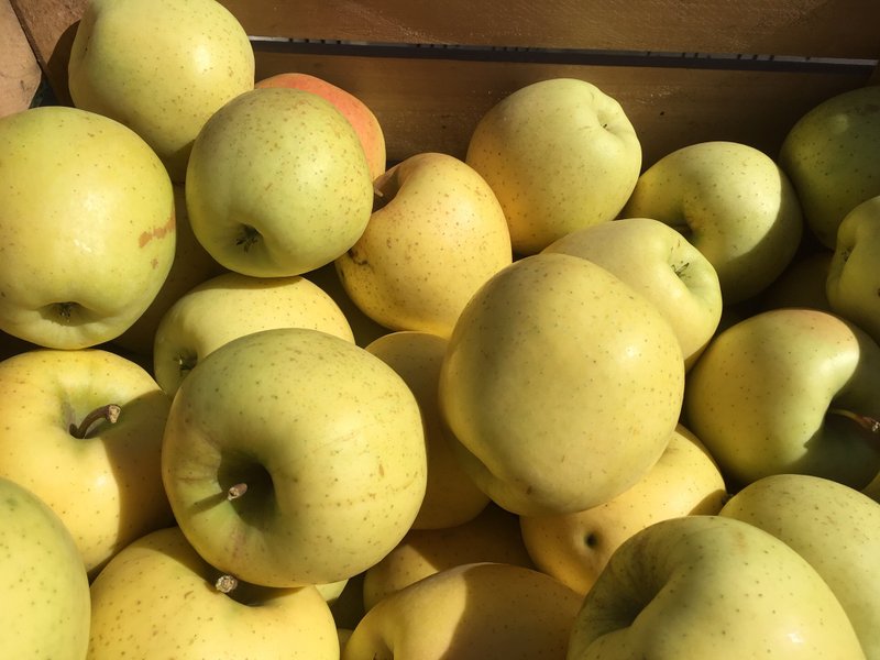 Crunch-A-Bunch apples in a crate