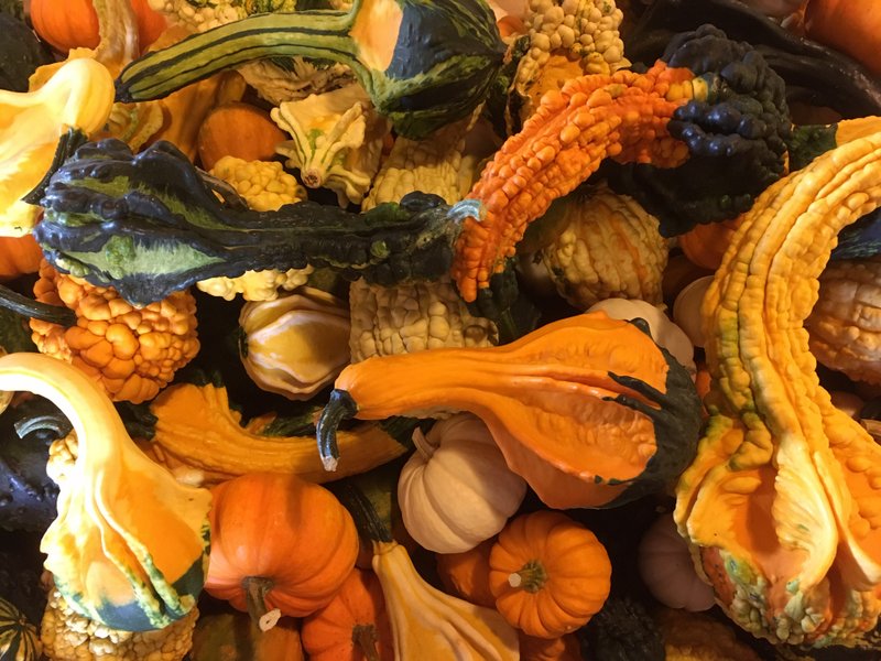 Mixed gourds