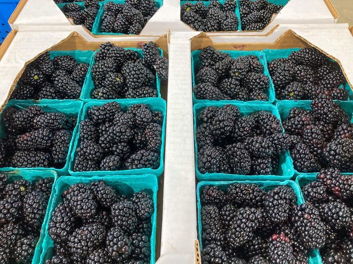 Index of /wpcontent/uploads/2022/07