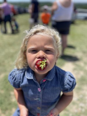 Little girl with strawberry in her mouth