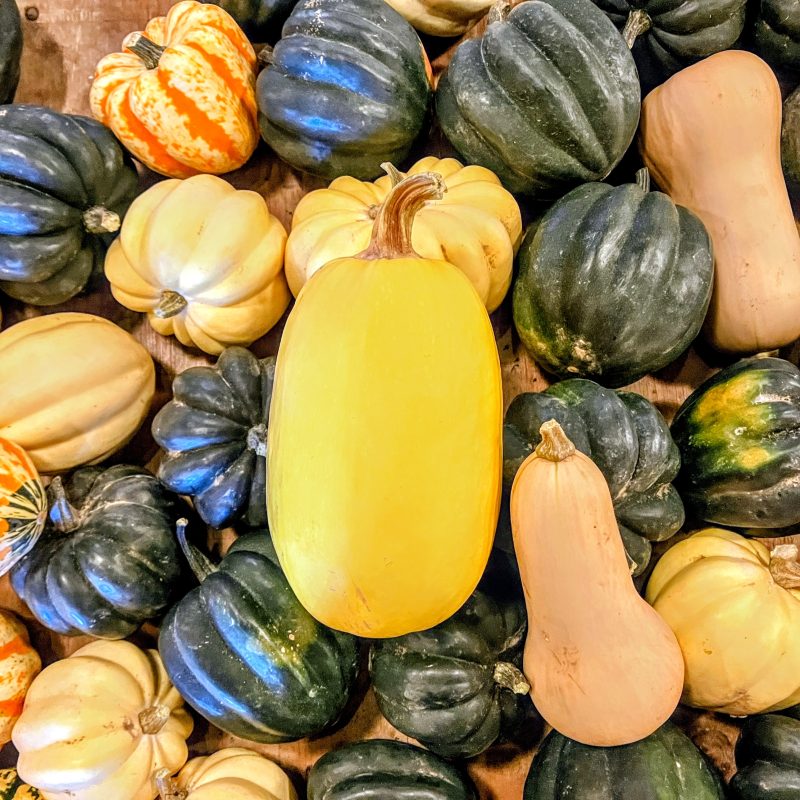 wintersquash