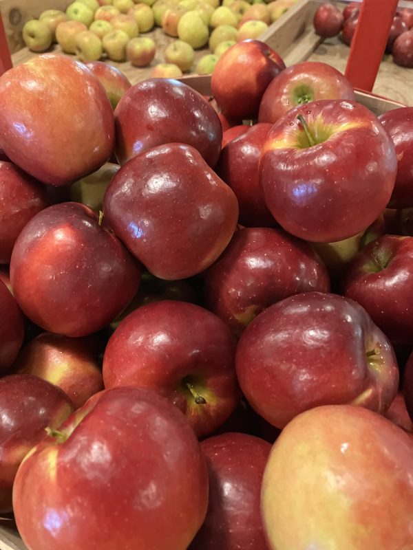 photo of pixie crunch apples