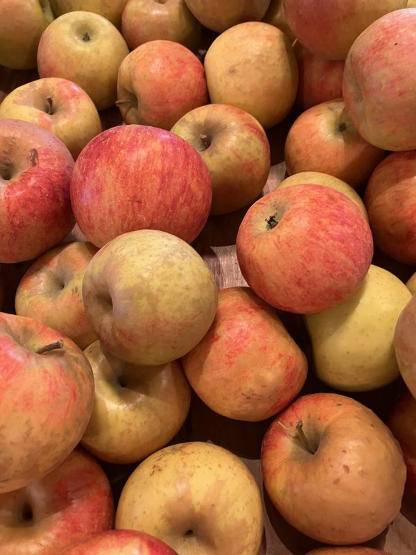 photo of 1589 apples
